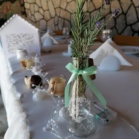 Hanul Hora Romaneasca 3* אפורי סוד