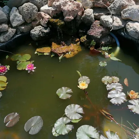 Hanul Hora Romaneasca 3* Eforie Sud (Constanta)