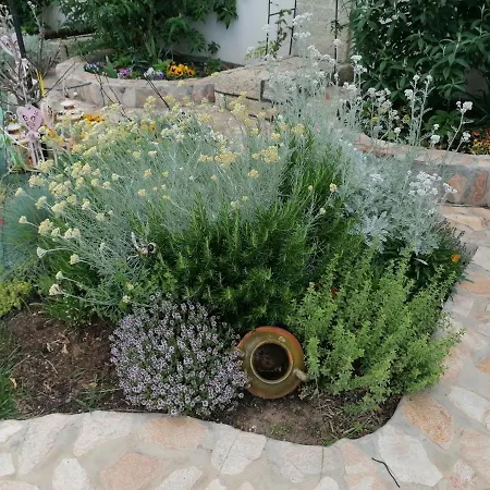 Hanul Hora Romaneasca 3* Eforie Sud (Constanta)