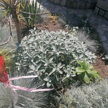 Hanul Hora Romaneasca 3*