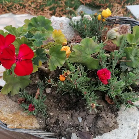 Zajazd Hanul Hora Romaneasca