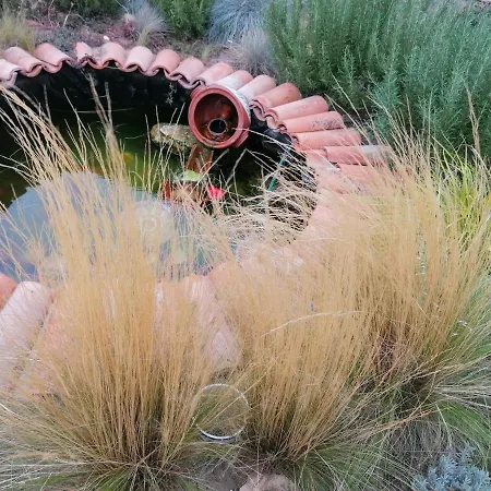 Zajazd Hanul Hora Romaneasca