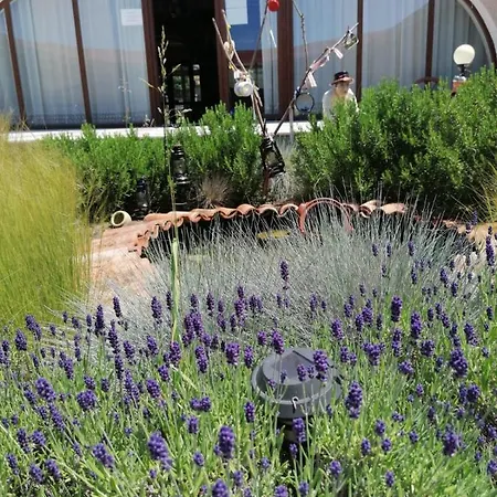 Han/Misafirhane Hanul Hora Romaneasca Eforie Sud (Constanta)