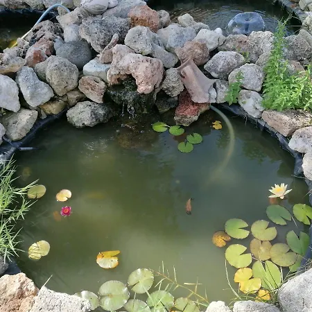 Han/Misafirhane Hanul Hora Romaneasca 3*