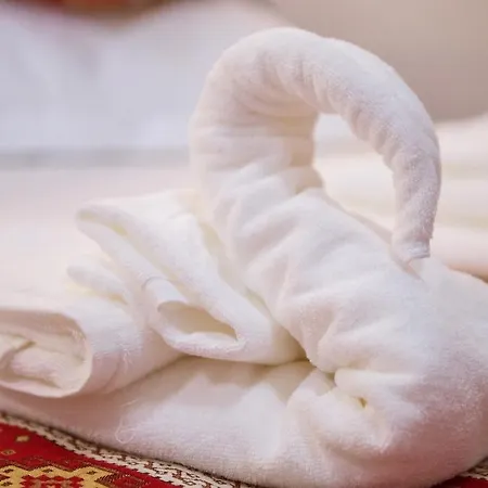 Hanul Hora Romaneasca Han/Misafirhane