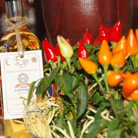 Hanul Hora Romaneasca 3*